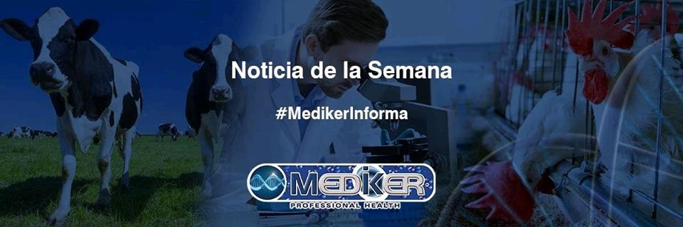 MedikerCPM's tweet photo. En el siguiente articulo se especifican las normas de bioseguridad y medidas a tomar en cuenta en tus instalaciones para logar que tus animales estén con buena salud y su producción se desarrolle con calidad 
https://t.co/OJ9FB8UL8E #Mediker #BioseguridadAnimal https://t.co/xE6bSd7Goe