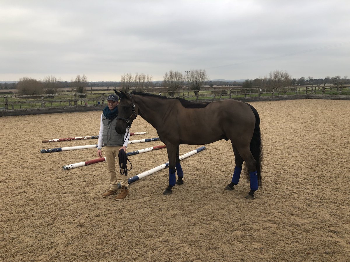 My next clinic at Brackenhill stud on the 16th of March. Do get in touch for more info and to book your space. #happytimes #dressagehorse #lesson #training #fun #puttingtheworldtorights #fernfarm #dressage #lifeofshaun🦄