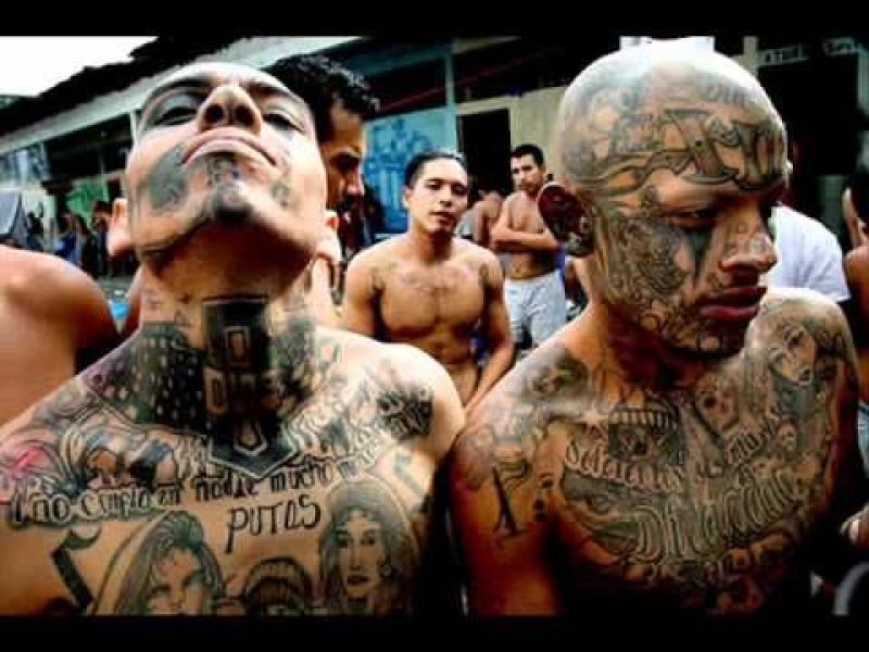 The1RealStory's tweet photo. @WAGSILMAR @DianeHelp4pets @misspunk63 @CaliRN619 @talisman7 @HeartsNJunk @BirchJonh @jamesjaydrums @Serremmy @jonz970 @Sequencer16 @ctanner3 @AlphonsoBedoya @louieesqueda1 @lanewalton @ImabitcSumtimes @ekim_yeldarb @andrsngirls @MAGASass @kevin_ponton @jmarch27 I want OUR STATE back! Stolen using illegal and deceased voters. @TomFitton and @JudicialWatch are purging voter rolls and @CBPSanDiego and @ICEgov is working around the clock to help us. #ReportAndDeport #EndSanctuary ICE tip form: https://t.co/pZBju4La3q call 1-866-DHS-2-ICE https://t.co/rc8ize72Sz