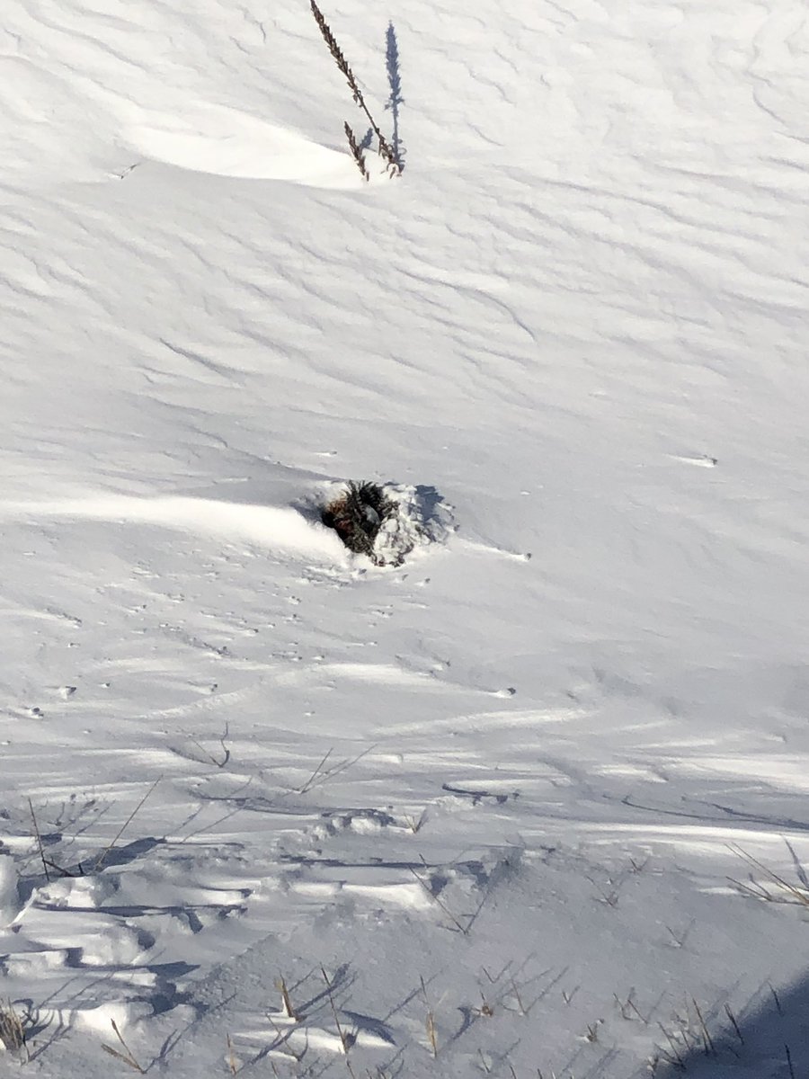 Jon Eberspacher tweet media