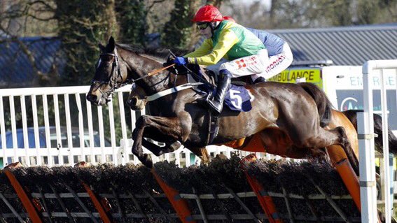 claire_macmahon's tweet photo. Great day for @o_paurick graduates today as Whatswrongwithyou and Visiondesflos both get their heads in front! The former boasted an impressive 17 length win to justify favouritism for the Grand Annual. Vision backed up recent form to well regarded horses and showed his talent! https://t.co/o9mLUVUthh