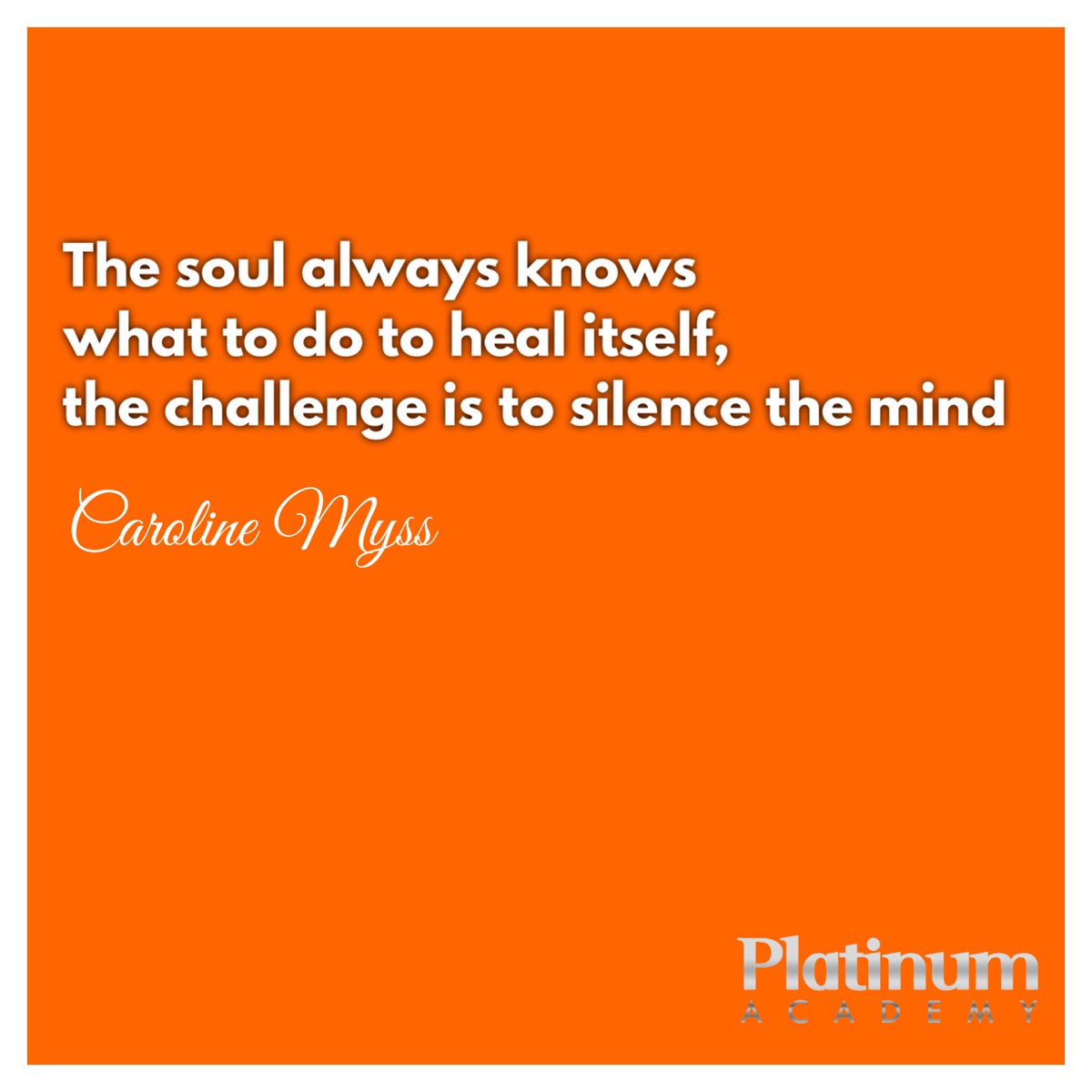 Tobias Hockert (@tobias_platinum) on Twitter photo 