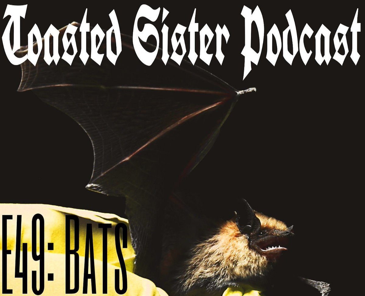 andimurphy's tweet image. New episode out now! Cause bats are Native food related 😉
#foodpodcast #Nativepodcast #Nativemedia #wns #whitenosesyndrome #bats #batconservation 
Listen to E49: #SoundCloud
soundcloud.com/toastedsisterp…
