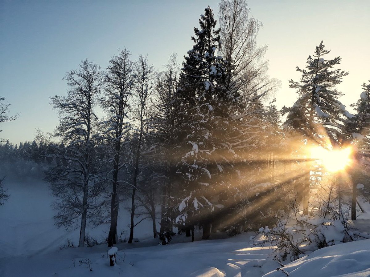 sersels's tweet photo. #зима #Сестрорецк #природа #пейзаж #свет #тень #winter #Sestroretsk #nature #landscape #light #shadow #Samsung https://t.co/usN29sFxWX