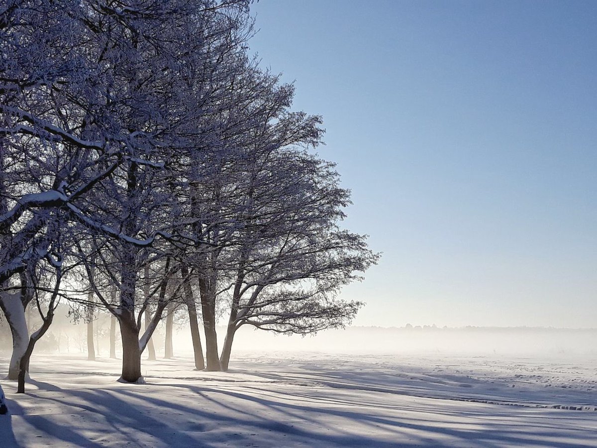sersels's tweet photo. #зима #Сестрорецк #природа #пейзаж #свет #тень #winter #Sestroretsk #nature #landscape #light #shadow #Samsung https://t.co/WmoYlbBmq7