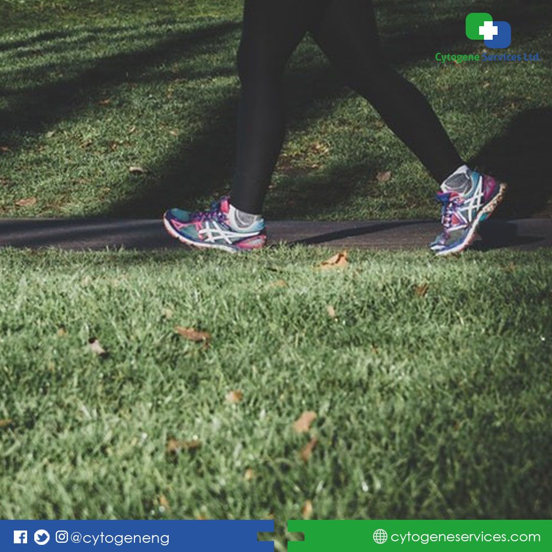 CytogeneNG's tweet photo. Regular physical activity, combined with a healthy diet, can help prevent and manage Type 2 Diabetes.
Who’s joining us for a power walk this evening?. 
#Cytogene #Cytogeneservices #Genetics #GeneticTesting #StemCells #StemCellStorage #Medicine #Health #NutriQlu #CardiacQlu https://t.co/Em6zwzbpLR