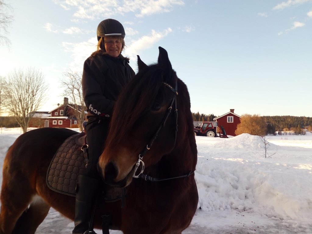 RiggoIda's tweet photo. Lycklig uppfödare och säljare när man får bilder och hälsningar från nya ägarna om hur fina hästarna är och hur bra dom har det ❤️❤️❤️ #backelingon #cinderellahill #teamkarlsson #kallblod #varmblod #uppfödare #lycklig #brahem #horse #älskarhästar https://t.co/3xmSwwHS5t