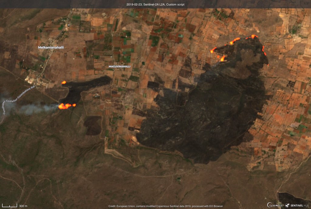 CopernicusEU's tweet photo. A #wildfire has consumed over 1,000 ha in the area of Bandipur in the south Indian state of Karnataka 🇮🇳 (see article below)
#Sentinel2 🇪🇺🛰 image acquired yesterday https://t.co/LcbC7FJ05R