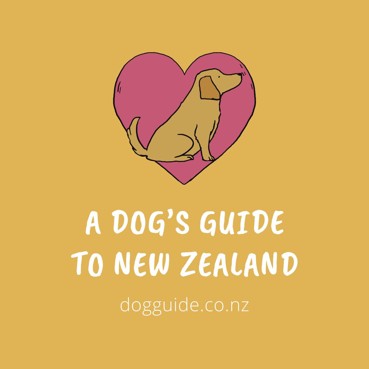 We want to make it easy for dog owners to know where they can take their dogs with a crowd-sourced map of dog-friendly places (like walks, cafés, accomodation and more). Sign up for early access on our website! 🐶 dogguide.co.nz