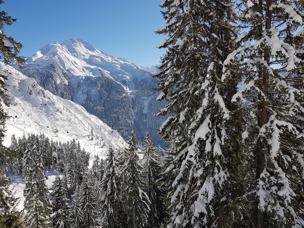 away_ski's tweet image. La Plagne life. Les Bois could be all we need, ever.

#snow #skiaway #mountains #skiing #snowboarding #aples #alps #laplagne #ski #happiness #coldday #deepsnow #perfectsnow #snowislife #perfectday #doesitgetbetter