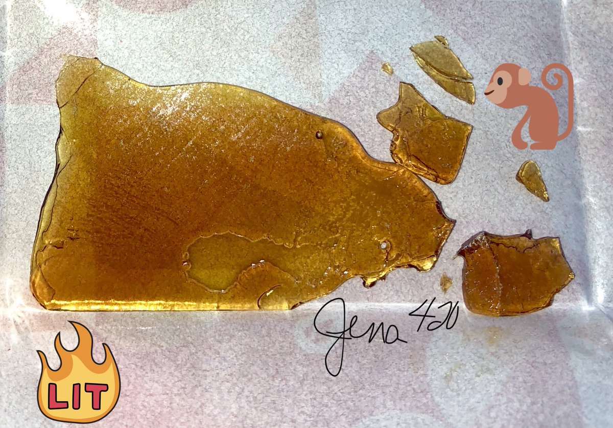 GanjaGadfly's tweet photo. Top story: @_jena4n: 'This strain is #HellMonkey 😆 never had her before, funny name.
🔥🐒 💚💋💨
#IAmCannabis #puffpuffpass #StonerFam #StayLifted #SativaDiva #WeShouldSmoke ' https://t.co/P8BgDE5zHr, see more https://t.co/y1d0I9CNd5