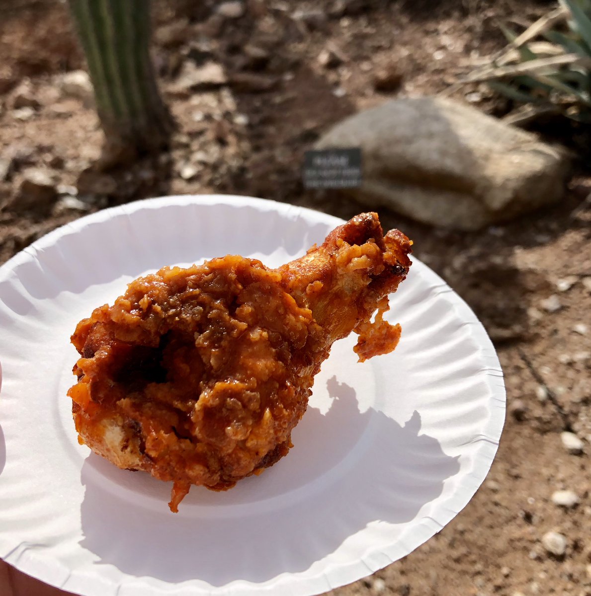 Laurenski's tweet image. A quail (judgingly) watched me eat this. #DevourPhoenix #mrschicken