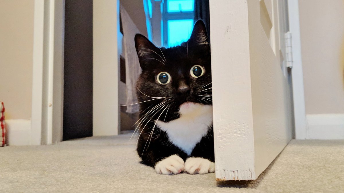 CuriousZelda's tweet photo. You want to rest
I want to play
You change your mind
You make my day https://t.co/NGPbrPDwUx