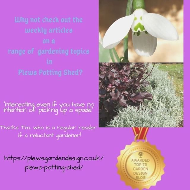 'Interesting even if you have no intention of picking up a spade' #PlewsPottingShed #gardenblog #gardenblogger #gardeningwriter Why not check out weekly articles on a range of gardening topics? #gardeningblog #gardenwriter #gardeningblogger #awardwinning… plews.gd/2NswvFf