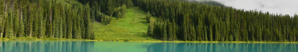 LanceCleveland's tweet image. Selenium IDE3 Using If and Variables #seleniumide #qa #automatedwebtesting lance.bio/2019/02/24/sel…