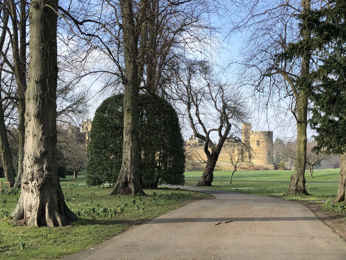 Some colour to be found already @AlnwickGarden and the daffs will soon be in bloom <a href="/alnwickcastle/">Alnwick Castle</a>! #Spring is on the way in #Northumberland