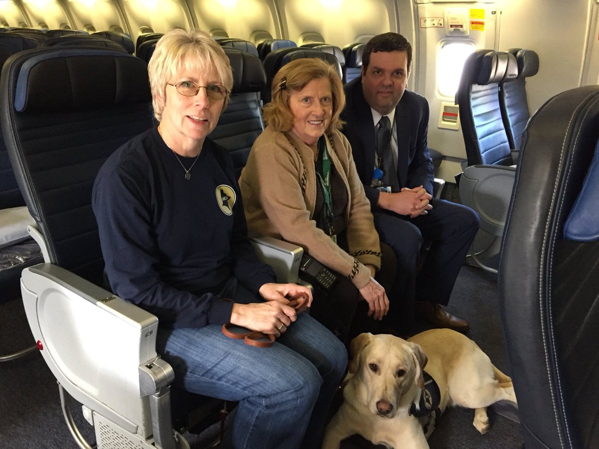 jefflatt1's tweet photo. Partnering with MK9s Service Dogs in training service dogs for veterans! @weareunited @susannesworld https://t.co/1tquRnbM3V