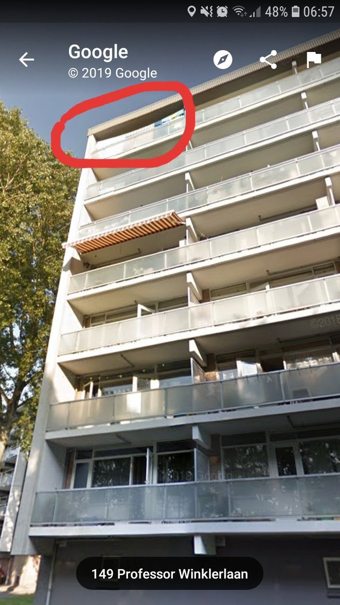 VleermuisWerkgroepNH tweet media