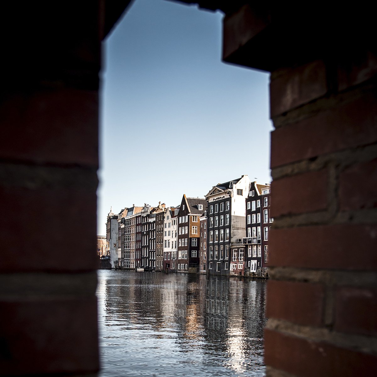 Trabber's tweet image. ¿Y si nos vamos a #Amsterdam? 🌷💐😍📍

Echa un vistazo a las ofertas para viajar barato a la capital de los Países Bajos 😉✈️ trabber.es/vuelos-a-amste…