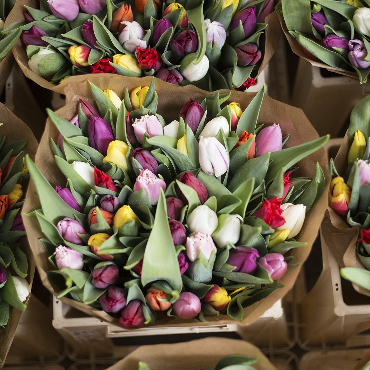 Trabber's tweet image. ¿Y si nos vamos a #Amsterdam? 🌷💐😍📍

Echa un vistazo a las ofertas para viajar barato a la capital de los Países Bajos 😉✈️ trabber.es/vuelos-a-amste…