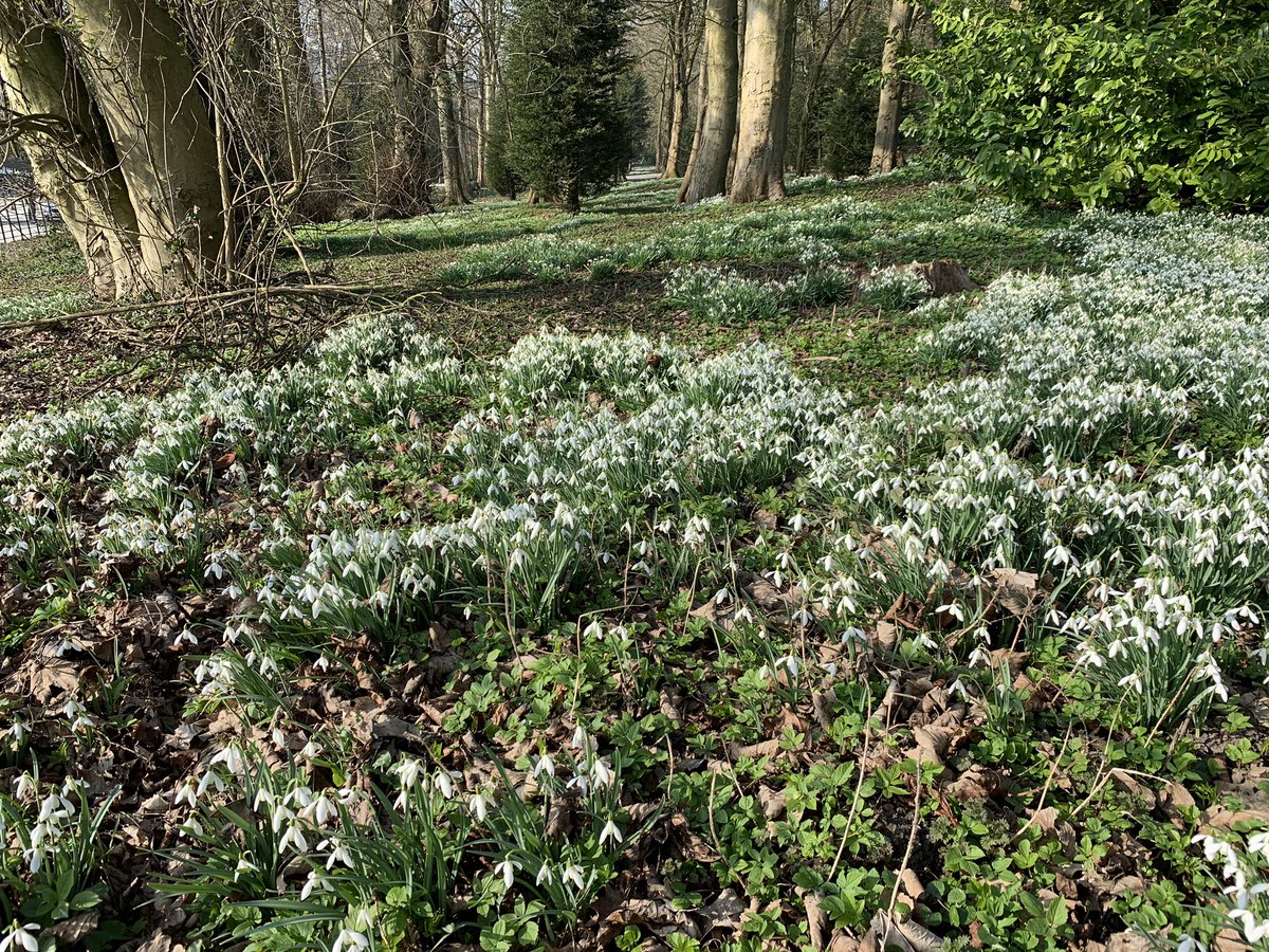 NigelVardy's tweet photo. Springtime in #Derbyshire @OSleisure #GetOutside #belper #hoptonhall https://t.co/rzyqJQyaU3
