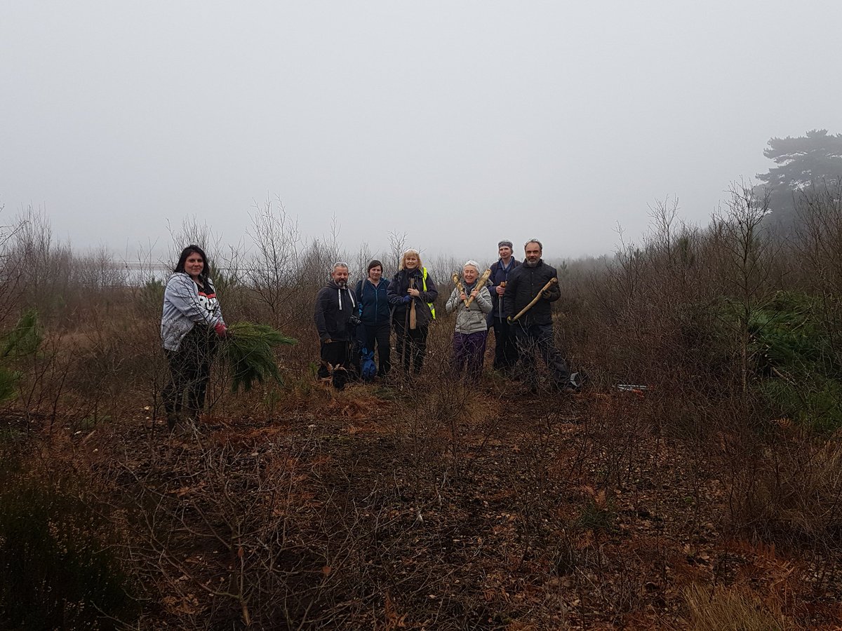 Same location as this morning's picture but now not a Scots pine in sight. A champion tally of 59 trees! Our flint axe lumberjack's are a formidable force. <a href="/IoAHC/">IoAHC</a> <a href="/HHLWildscape/">Project 'Wildscape'</a>