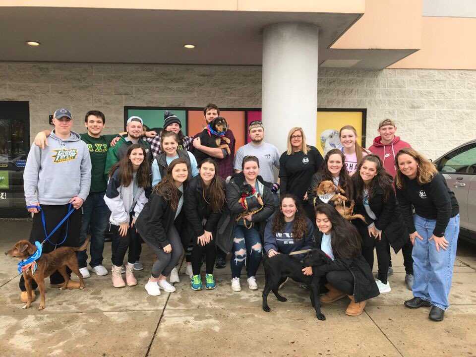 We had a great time today working with the girls from <a href="/ast_mcdaniel/">Alpha Sigma Tau</a> volunteering with some pups from K9 Lifesavers! 
Thank you guys and girls for you time and service! 
.
.
.
#GoGreek #LambdaChiAlpha #GreekontheHill #RollTerror #WhyLambda