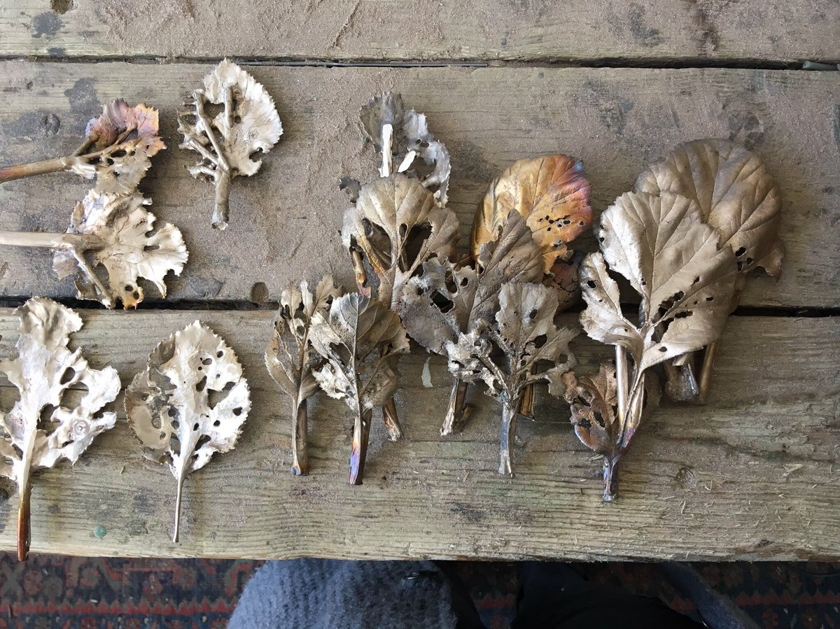 walkinglantern's tweet image. Also, another collection of eaten leaves preserved in bronze emerging this spring, the new ‘What Remains’ series. #handmadehour #botanicalart