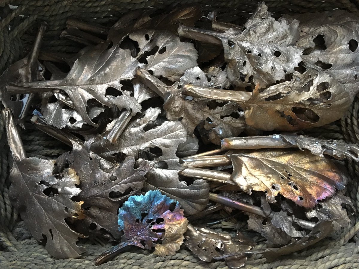 walkinglantern's tweet image. Also, another collection of eaten leaves preserved in bronze emerging this spring, the new ‘What Remains’ series. #handmadehour #botanicalart