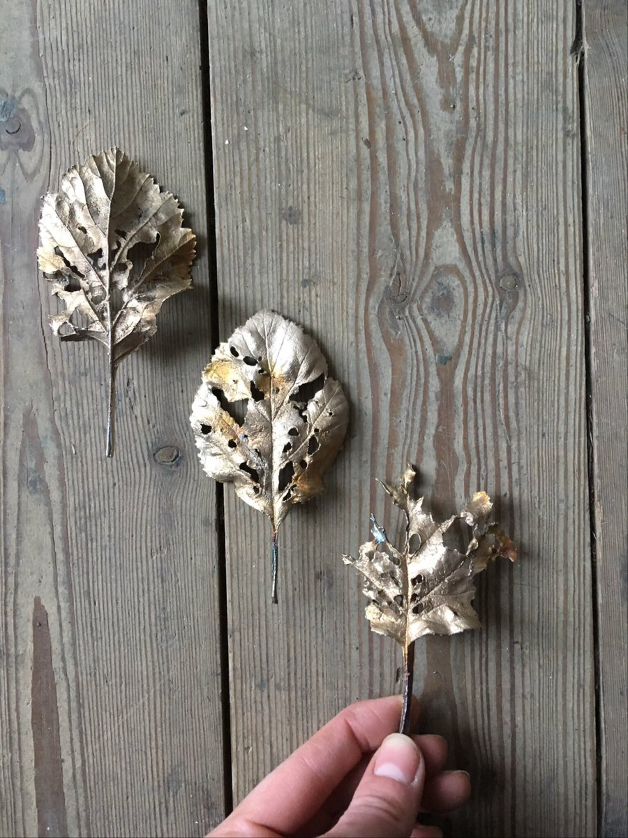walkinglantern's tweet image. Also, another collection of eaten leaves preserved in bronze emerging this spring, the new ‘What Remains’ series. #handmadehour #botanicalart