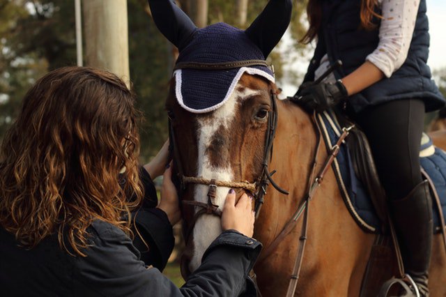 Are you local to the Vermilion area and love horses? Why not help with the Light Horse Show? We are always looking for volunteers to help with the show! You don't have to own a horse to help with the show. Contact the office to be put in touch with the committee!