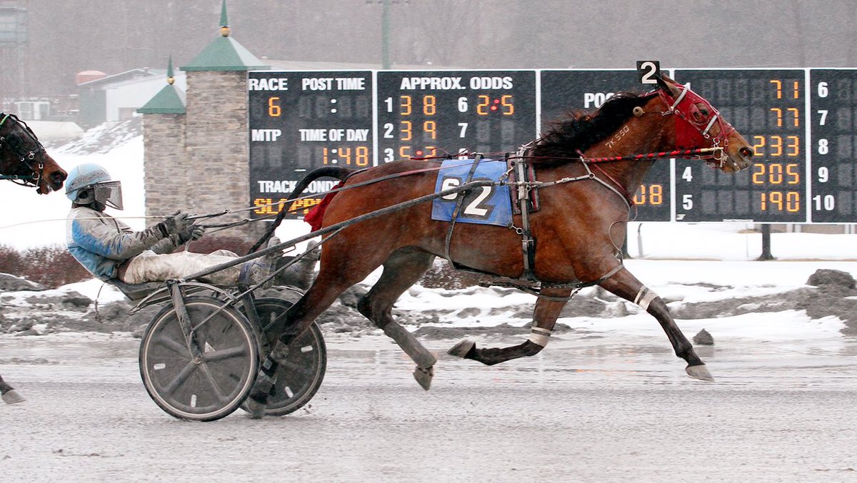 SaratogaCasino's tweet photo. A long shot at 39-1, Aberforth won today’s open in 1:57.2 and paid $81 to win. 📷: @SaratogaWinPics #SaratogaHarness #HarnessRacing https://t.co/4ovpcqcPlZ