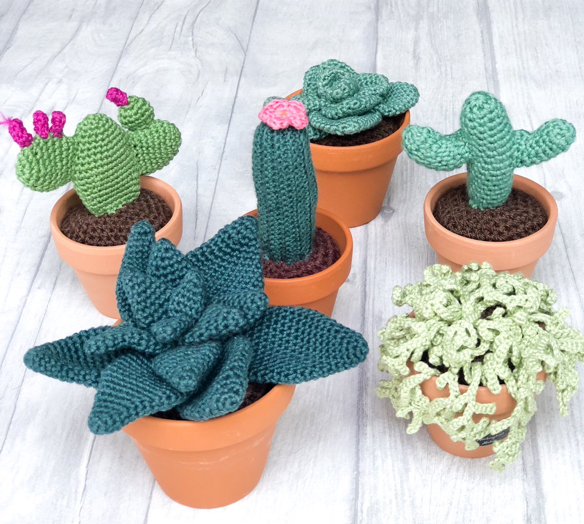 mbird_makes's tweet photo. New makes! Order direct and you can pay via Etsy or Paypal for full assurance. get ready for Mother’s Day ❤️💚❤️
@HandmadeHour #handmadehour #unkillablecactus #cactuslove #aloevera #Cactus #torchcactus #saguaro #stringofpearls #pricklypear #handmadecactus #MothersDay #perfectgift https://t.co/LgiDiNEeWc