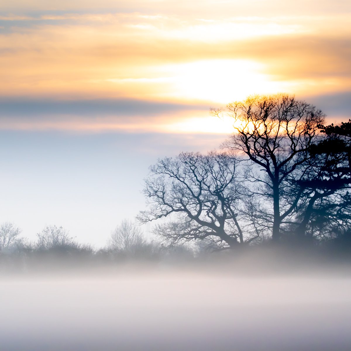 TRPICS1's tweet photo. Amazing sunset tonight as the mist fell over fields near Orston #Nottinghamshire #countryfile #sunset #winter #ThePhotoHour #canonphotography #StormHour https://t.co/GLG2Cb09hY