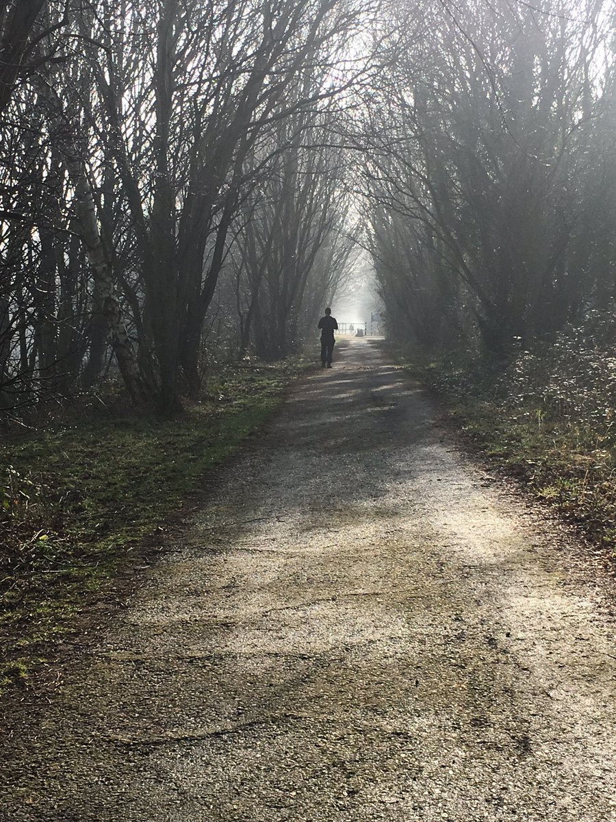 lpoolunderlined's tweet image. Walked The Ralla from Hunts Cross to Aintree. Misty at first but lovely and sunny later. So many songbirds and spring flowers. Old stations and bridges to admire. Spotted a buzzard bear the M62. Get out the house and go for a walk. #liverpoolloopline