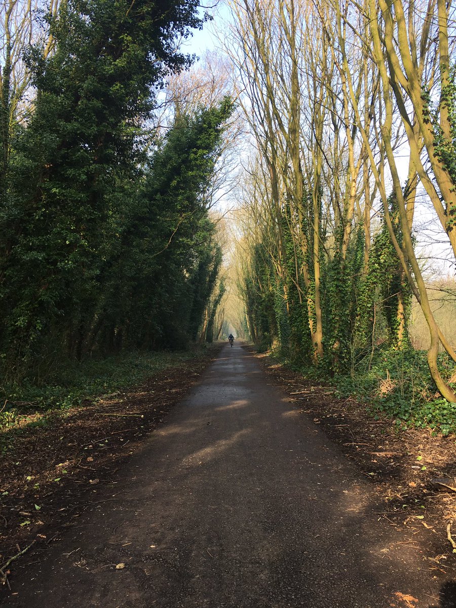 lpoolunderlined's tweet image. Walked The Ralla from Hunts Cross to Aintree. Misty at first but lovely and sunny later. So many songbirds and spring flowers. Old stations and bridges to admire. Spotted a buzzard bear the M62. Get out the house and go for a walk. #liverpoolloopline