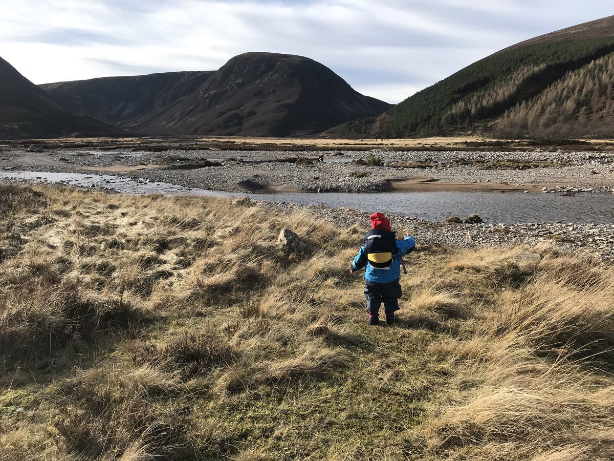 tabamountains's tweet photo. Due to the lack of snow and warm forecast we decided to head up to Ruigh Aiteachain and camp for the night. So with heavy bags and lots of smiles we took Lyra for her first wildcamp. The stars where out and it was lovely! 🏕 ⛰ 🌲 @coldclimbs @MtnTrngScotland https://t.co/h3k8PufOEH