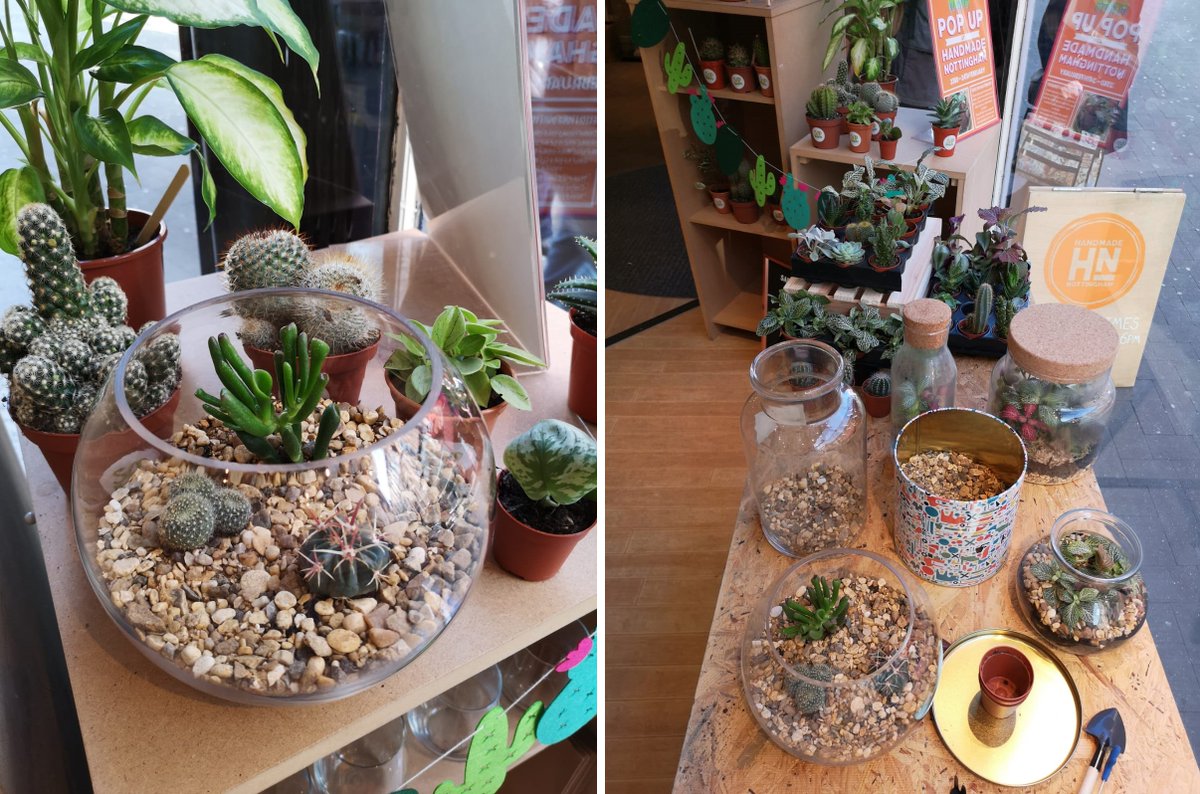 I have a new blog post up about a small business called <a href="/SapPlants/">Sap Plants</a> based in #Nottingham , read the post below or follow their @ to find them :)

chelseajadeloves.co.uk/2019/02/sap-pl…