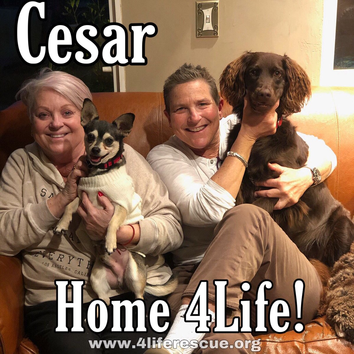 4LifeRescue tweet media