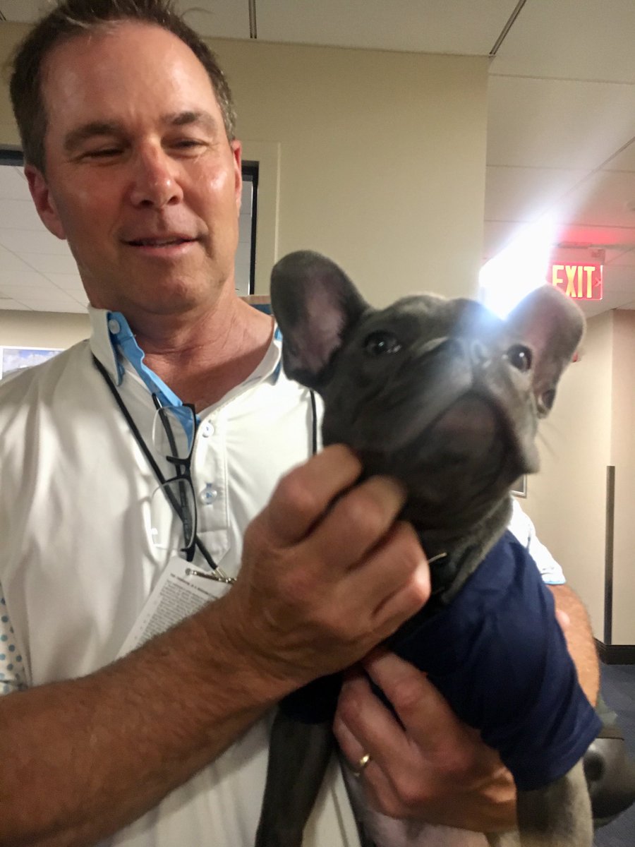 alysonfooter's tweet photo. Puppy love is alive and well inside the Astros clubhouse. Meet Louie, the granddog of radio analyst ⁦@SteveSparks37⁩ 🐶 https://t.co/btQMqmqafa