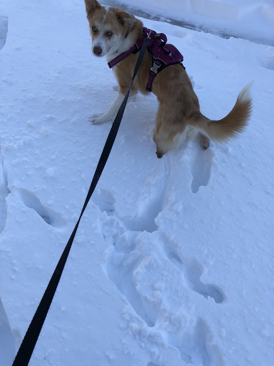 ScienceNJazz's tweet photo. Smooth flights these last couple months @SouthwestAir - take me to #sunny #california! I’m tired of the #snow in #OmahaBlizzard https://t.co/SI8BoHzVMN