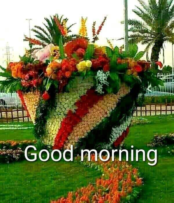 saanvikumar42's tweet image. To all my colleagues