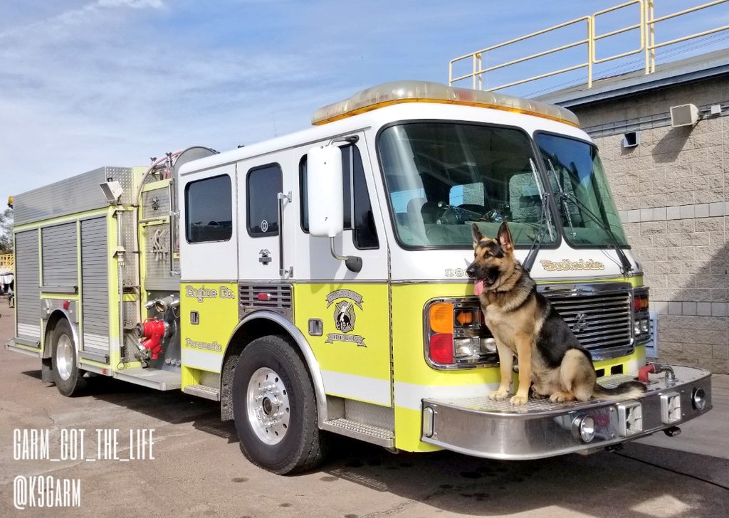 K9Garm's tweet image. We 🖤 #Firetrucks! A fantastic day of training with some fantastic people. Pics from today to follow soon! An hour or so and we are back on the road headed home. #moosedog #K9Garm #SARK9 #dogsoftwitter #dog #dogs #germanshepherd #gsd