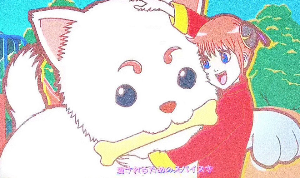 2月25日は定春の誕生日