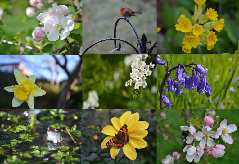 With 16 million gardens in the UK alone, if lots of us take steps to help our struggling wildlife, the benefits for nature - and people's health and wellbeing - will be huge. So please make your patch a little green space!