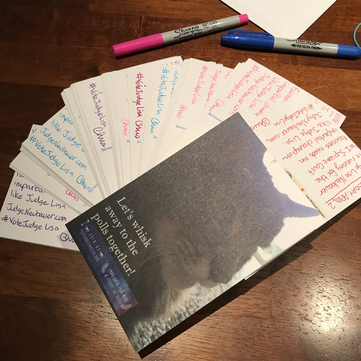 My 50 or so #postcardstovoters written on a windy Michigan day. Short on supplies? Use code midterms2018 for $2 off your order! cfvw.etsy.com