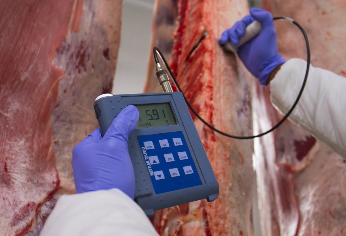 🐂🥩🇪🇸 La sostenibilidad del sector de carne de vacuno español está basada en los requisitos del Modelo de Producción Europeo (MEP), que son los estándares de calidad y seguridad alimentaria más elevados del mundo 🔝🌍