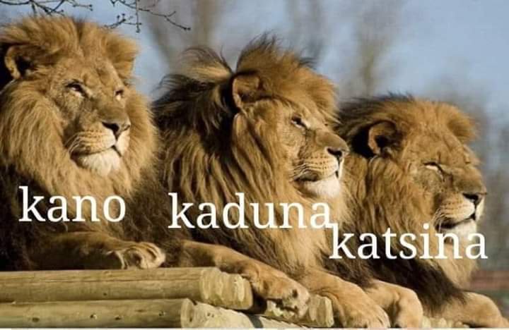 Gummy_Freez's tweet photo. @DemolaRewaju @inecnigeria Patiently waiting #Nextlevel assured #PMB4+4 https://t.co/6dbzhq1bxe