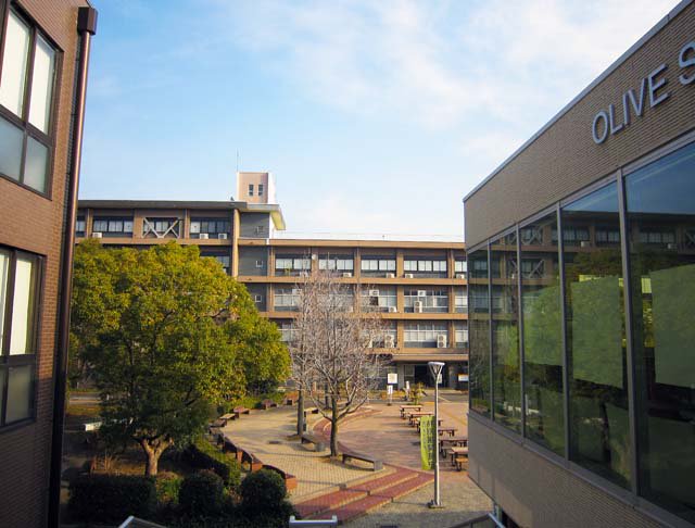 県立 図書館 香川 交通手段