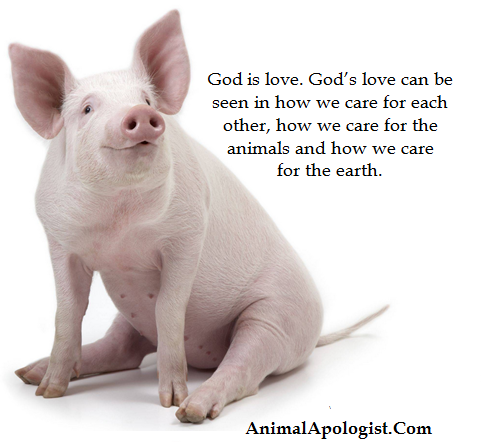 AnimalApologist's tweet photo. God created humans, the animals, the earth and declared them "good." We must be good to the "good" God created. #HelpGodsAnimals #EndAnimalExploitation #ReturnToEden #GardenofEdenDiet #GoPureVegetarian https://t.co/MURjozDWf8
